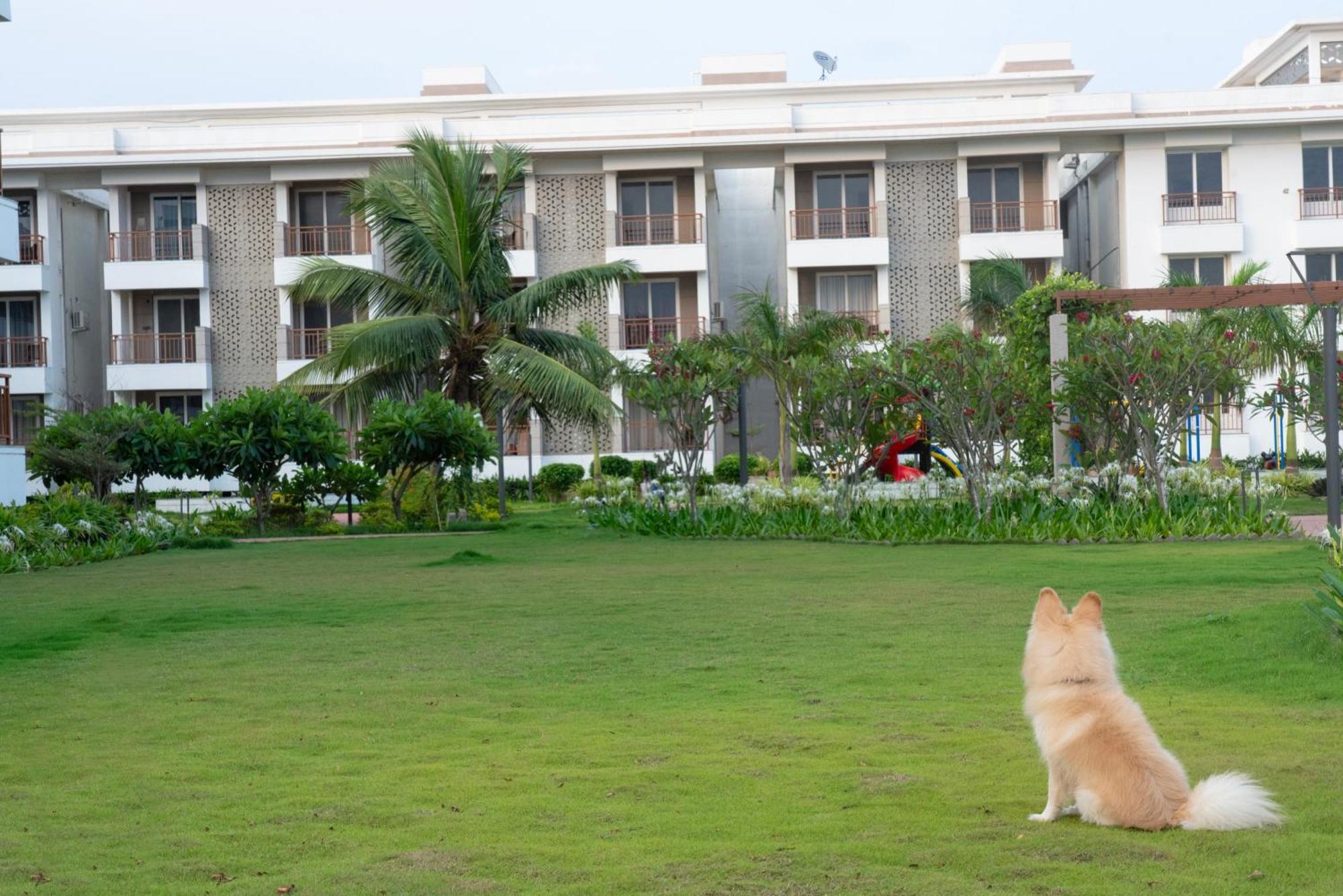 Palm Regal Resort Gopālpur Kültér fotó